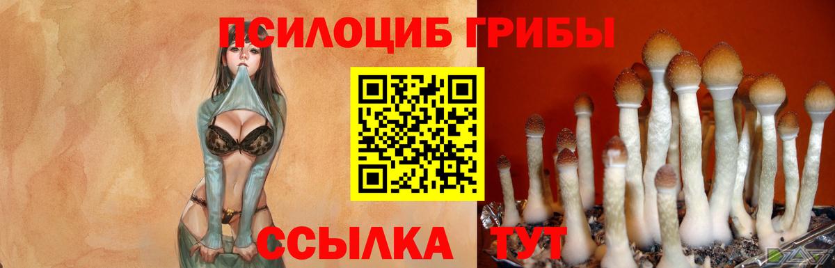 Псилоцибиновые грибы MAGIC MUSHROOMS Усть-Илимск